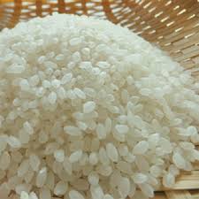 Soft Organic JAPONICA RICE, Brand Name : Indiagate