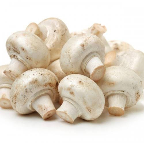 SSE Fresh Mushroom, Color : White, Packaging Type : Polythene Bag