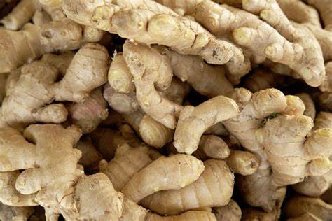 Ginger, Packaging Size : ton, Form : Whole, Packaging Type : Brown