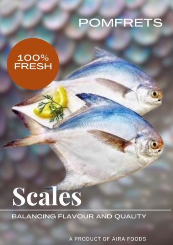 Pomfrets, Color : Shiny Silver, Silver, White, black