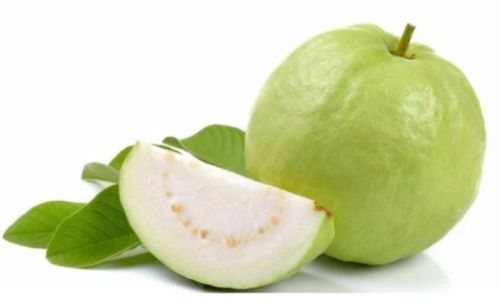 Natural Fresh Guava For Human Consumption