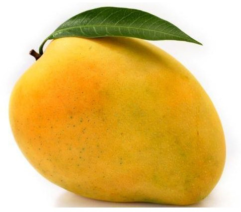 Natural Fresh Mango, Packaging Type : Carton