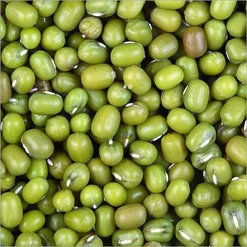 Natural Green Mung Beans For Cooking