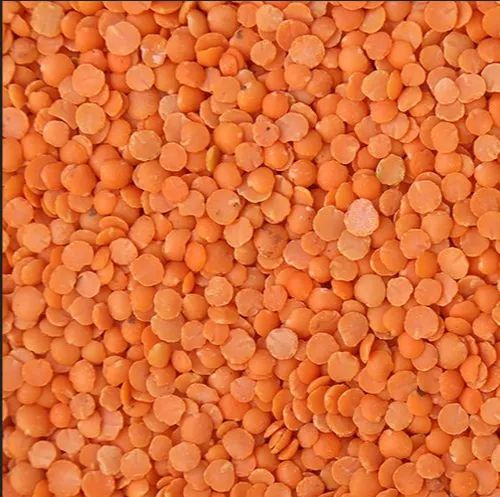 Split Masoor Dal For Cooking