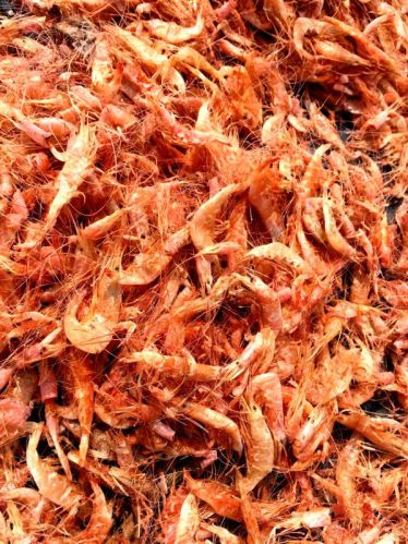 Dry Shrimps For Cooking