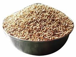 Natural Hybrid Bajra Seed For Use Cooking Animal Feed