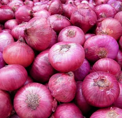AS Traders fresh onion, Color : Red, Packaging Size : 20 Kg