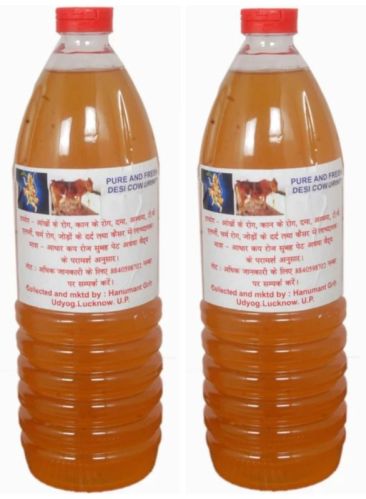 Cow Urine, Color : Dark-Yellow, Packaging Type : Plastic Jar