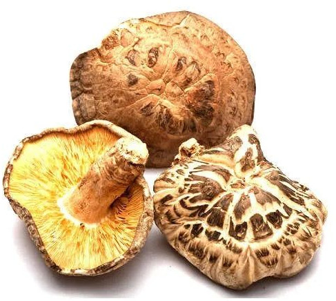 Natural Shiitake Mushroom For Cooking