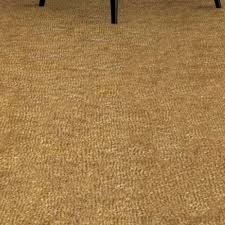 Single Colour Woolen Floor Carpet 12mm Modern Multisize