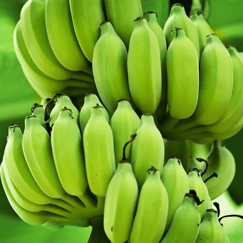 Banana, Color : green