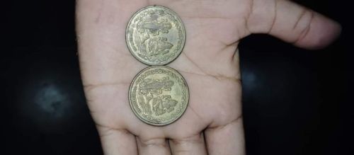 Non Polished Brass Laxmi Coins, Color : Bronze, Gold