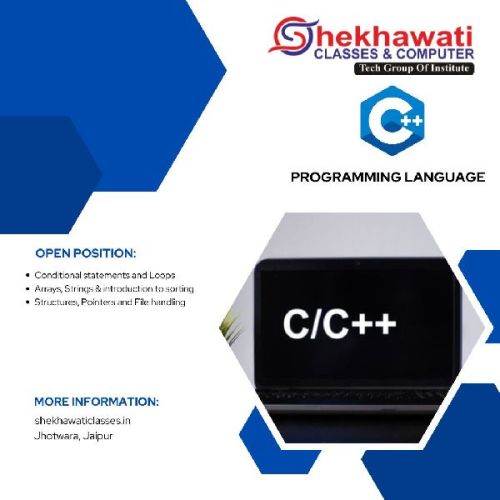 Computer language training services