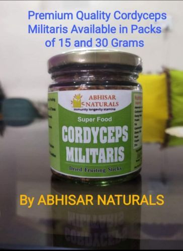 Cordyceps Militaris For Personal