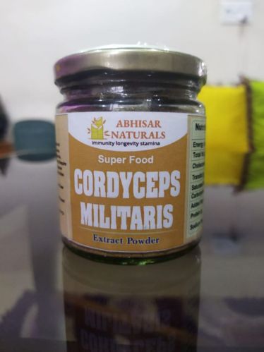 Cordyceps Militaris Substrate Powder