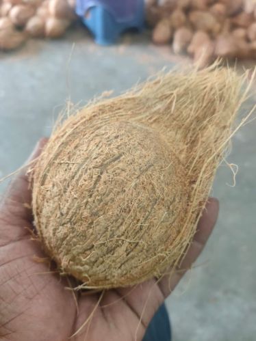 Wellson Raw Natural Fresh Indian Coconuts For Pooja, Medicines, Cosmetics, Cooking