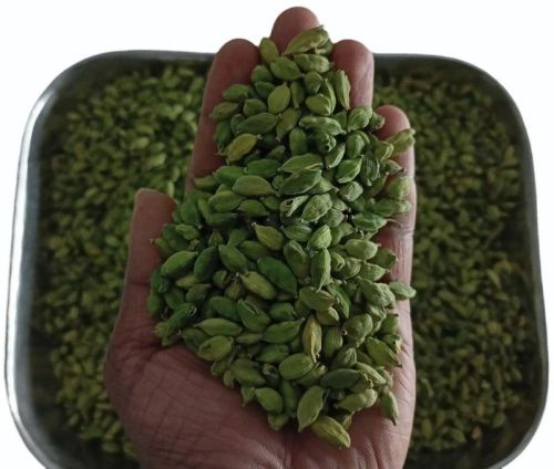 Raw Natural Green Cardamom For Cooking, Spices