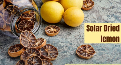 Solar Dried Lemon for Fast Food, Horeca, Tea, Decoration, Essential Oil RTE