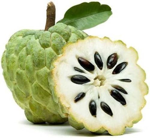 Fresh Custard Apple For Human Consumption