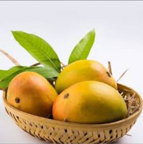 Fresh Mango, Packaging Size : 5-10kg