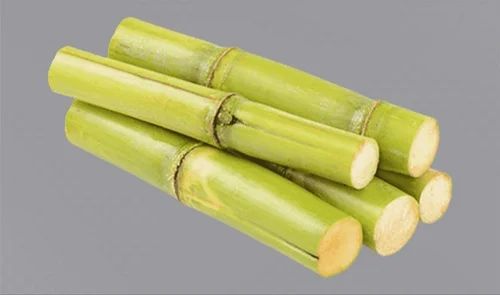 Fresh Sugarcane For Human Consumption