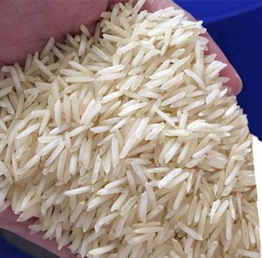 Unpolished Soft 1121 Basmati Rice For Cooking