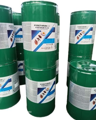 Pyrethrum Extract 2%, Grade : Technical Grade