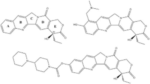 Janani Organics Camptothecin, Grade : Pharamaceutical