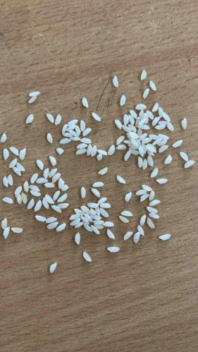 Platinum Jeerakasala Rice, Packaging Size : 25 Kg