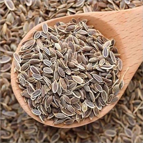 Raw Dill Seeds For Cooking