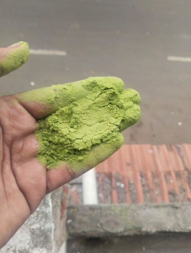 Organic Moringa Powder For Medicinal Use