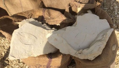Raw Multani Mitti, Packaging Type : Plastic Bag