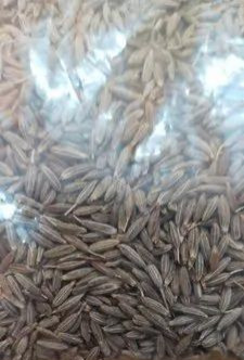 MDH Black Cumin Seeds, Packaging Size : 200g