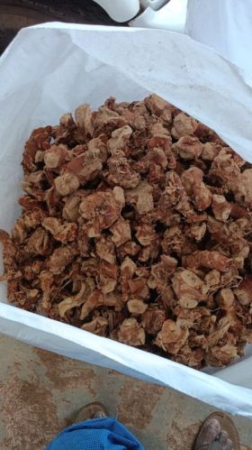 Alpinia Galangal, Packaging Size : 30-40 Kg