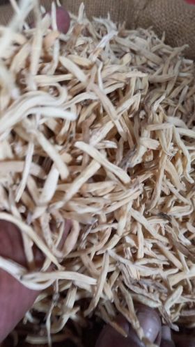 Dried White Musli For Medicine Use