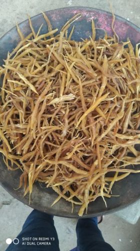 Dried Yellow Stiawari Root For Ayurvedic Products, Herbal Products, Medicine