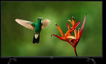 Panasonic Smart-TV TH-32GS595DX