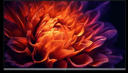 Pansonic 4K-televisions TH-55MX740DX, Screen Size : 55inches (139cm)