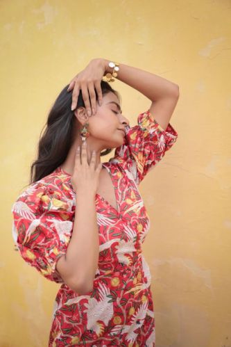 Bird Print Ruffle Hem V-neck Short Dress