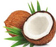 Natural Coconut For Pooja