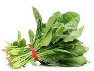 Imported Japanese Baby Spinach