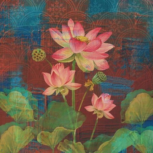 Charming Lotus Wallpaper