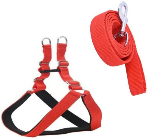 Dog Harness With Padding With Leash Red Colour