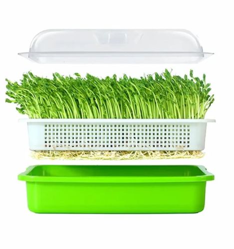 Sprouting Tray