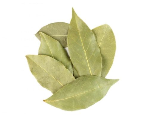 Bay Leaf, Color : Light Green For Food, Pickle
