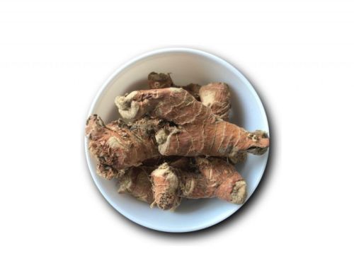 Kulanjan Galangal Alpinia Galanga