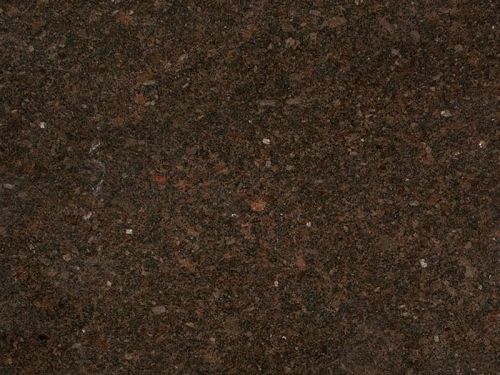 Coffee Brown Granite For Flooring