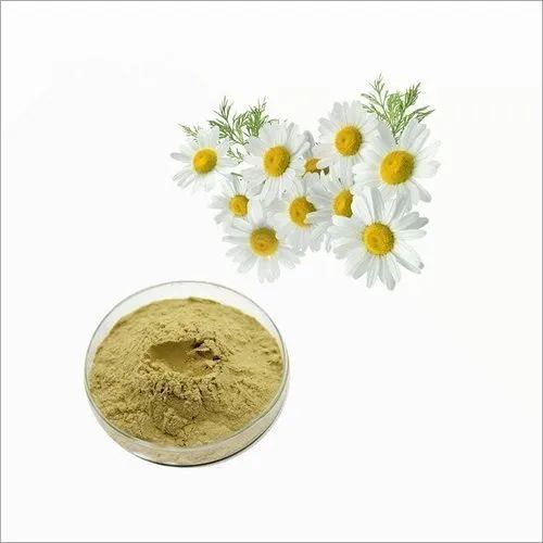 Natural Dried Chamomile Flower Powder, Color : Yellow