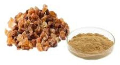 Pure Guggul Powder 12 Month 100 %, Botanical Name : Commiphora Wightii