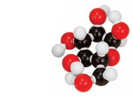 Plastic Glucose Molecular Model Set For Science Laboratory Use